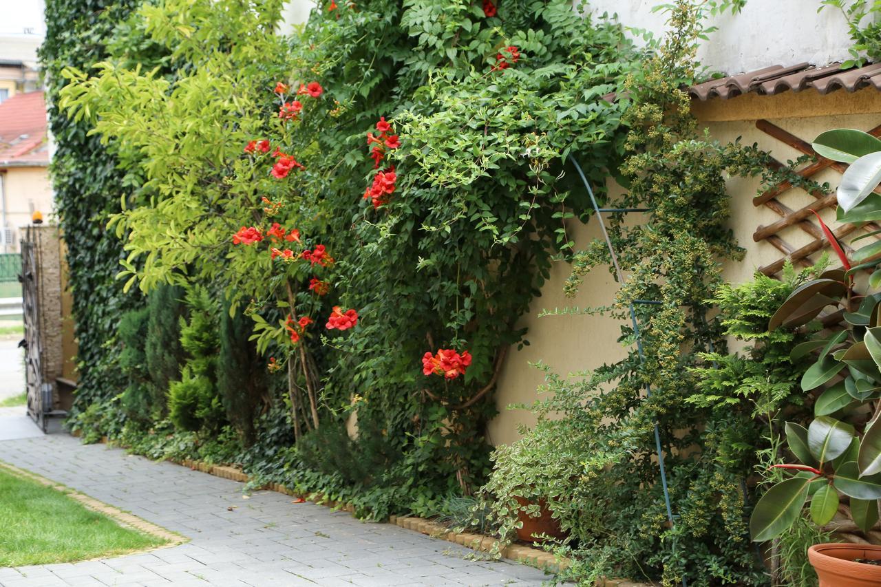 Oli House Hotel Alba Iulia Luaran gambar